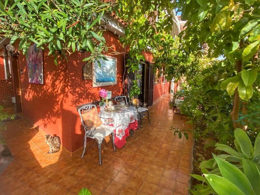 Moringa Garden Spa Chayofa Luaran gambar